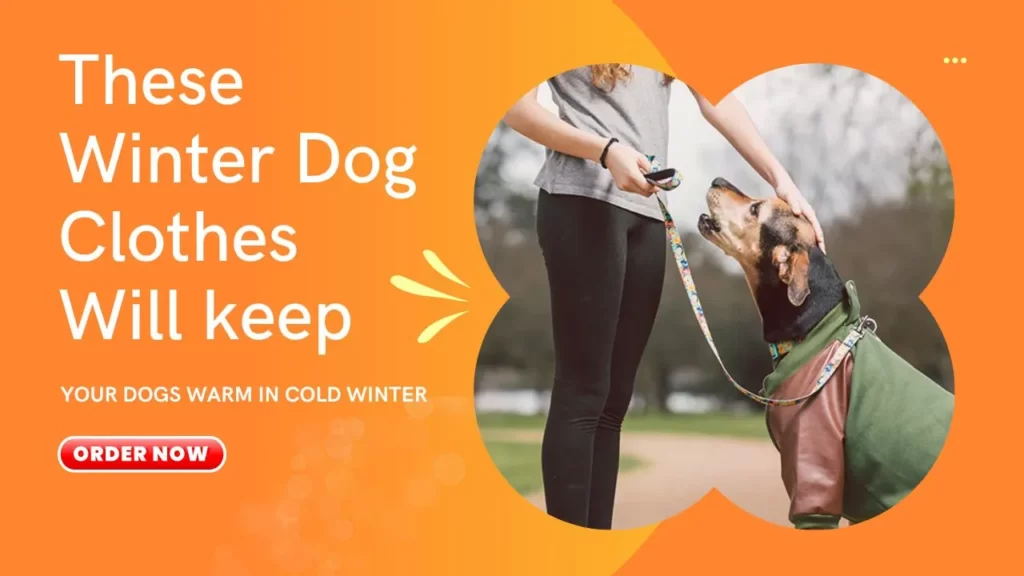 These Winter Dog Clothes Will keep Your Dogs Warm in Cold Winter